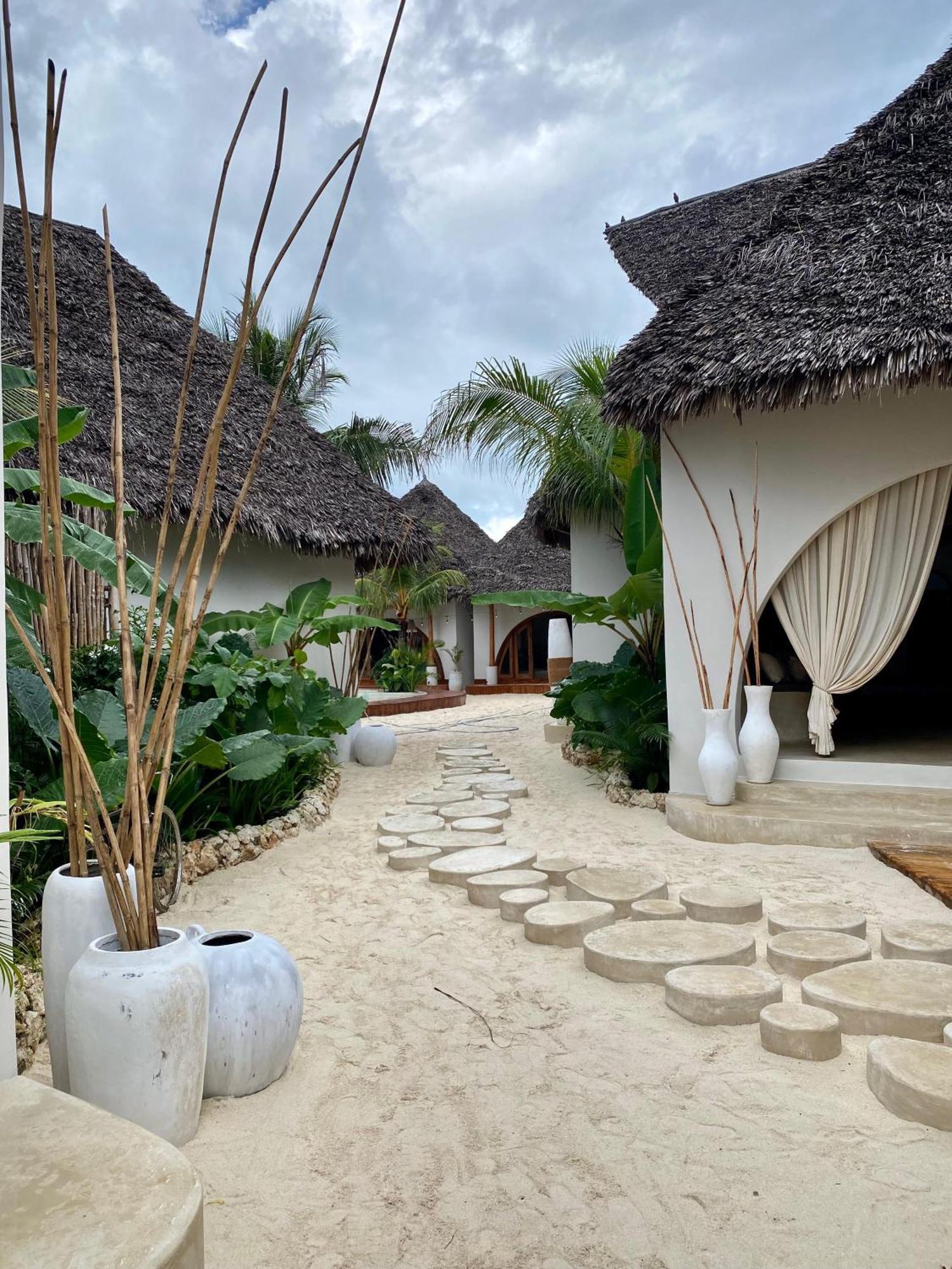 Kai Zanzibar And